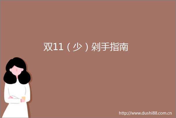 双11（少）剁手指南