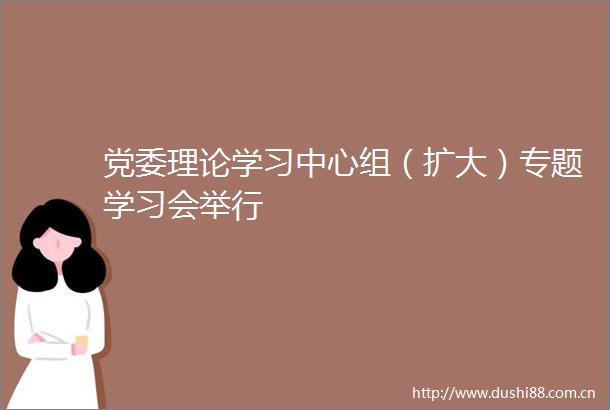 党委理论学习中心组（扩大）专题学习会举行