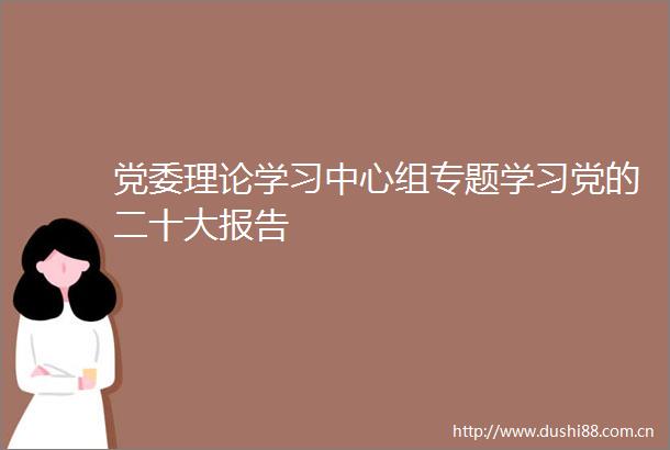 党委理论学习中心组专题学习党的二十大报告