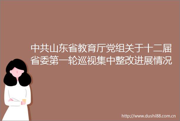 山东省教育厅党组关于十二届省委第一轮巡视集中整改进展情况的通报