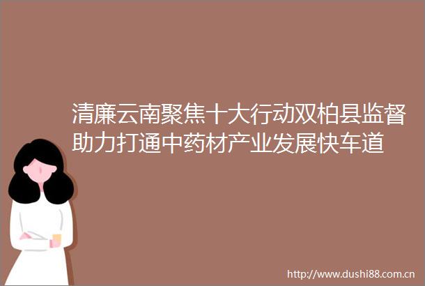 清廉云南聚焦十大行动双柏县监督助力打通中药材产业发展快车道