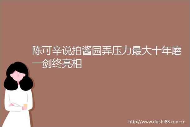 陈可辛说拍酱园弄压力最大十年磨一剑终亮相
