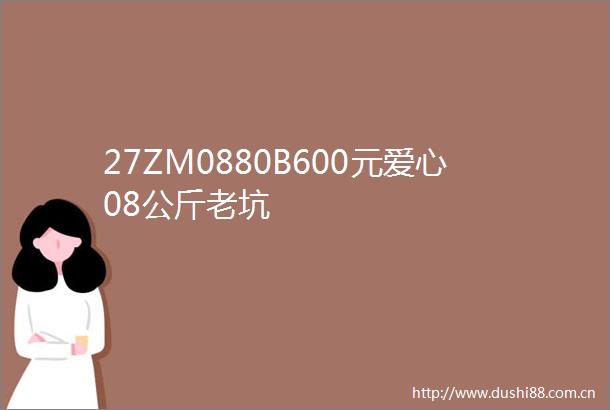 27ZM0880B600元爱心08公斤老坑