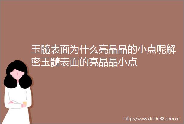 玉髓表面为什么亮晶晶的小点呢解密玉髓表面的亮晶晶小点