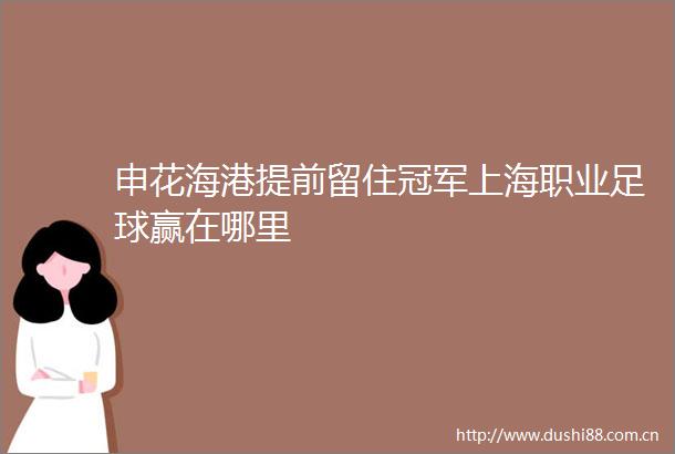 申花海港提前留住冠军上海职业足球赢在哪里