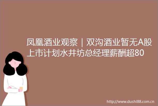 凤凰酒业观察｜双沟酒业暂无A股上市计划水井坊总经理薪酬超800万或与外资背景有关