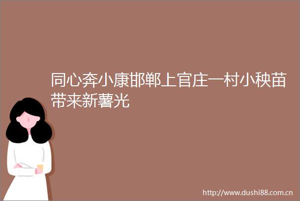 同心奔小康邯郸上官庄一村小秧苗带来新薯光