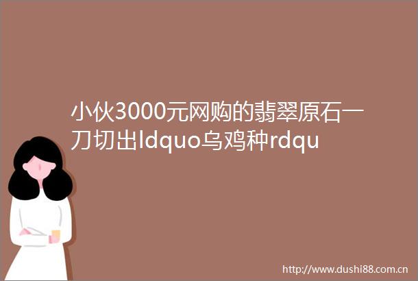 小伙3000元网购的翡翠原石一刀切出ldquo乌鸡种rdquo