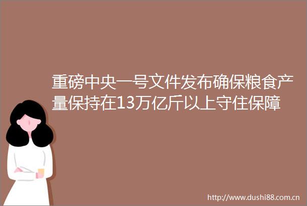 重磅中央一号文件发布确保粮食产量保持在13万亿斤以上守住保障粮食安全和不发生规模性返贫两条底线