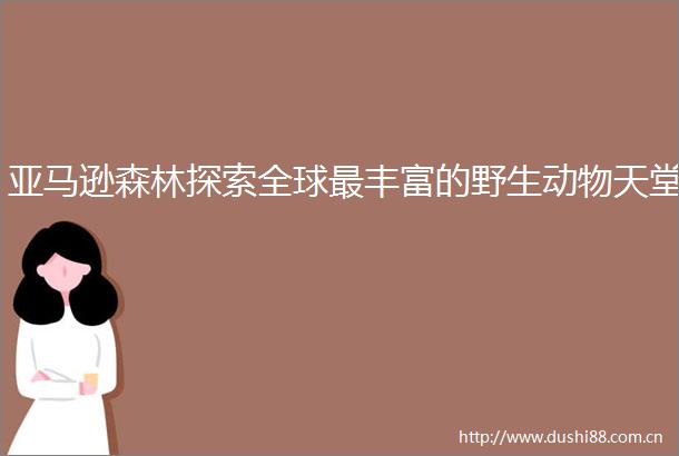 亚马逊森林探索全球最丰富的野生动物天堂