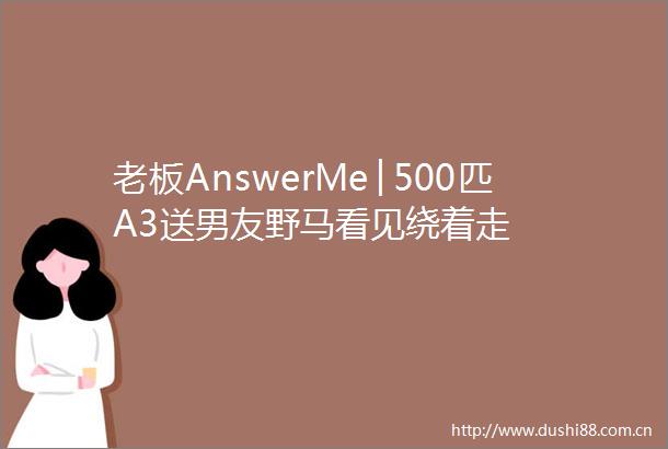 老板AnswerMe│500匹A3送男友野马看见绕着走