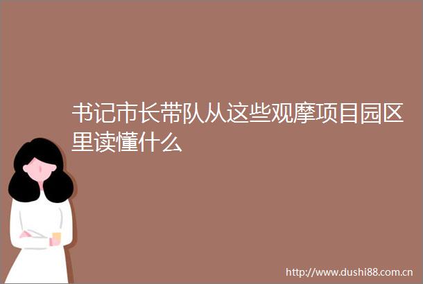 书记市长带队从这些观摩项目园区里读懂什么