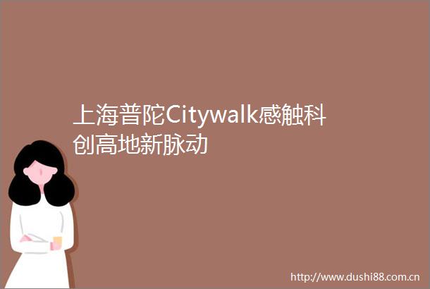 上海普陀Citywalk感触科创高地新脉动