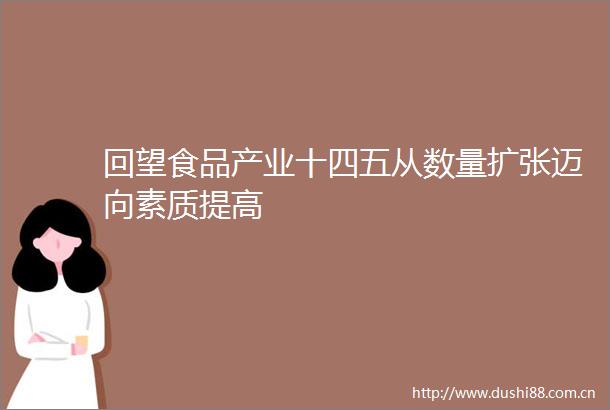 回望食品产业十四五从数量扩张迈向素质提高