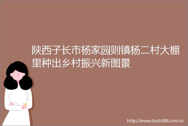 陕西子长市杨家园则镇杨二村大棚里种出乡村振兴新图景