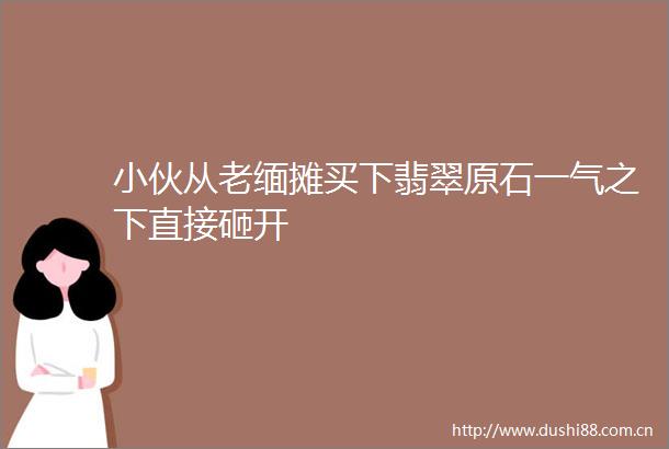 小伙从老缅摊买下翡翠原石一气之下直接砸开