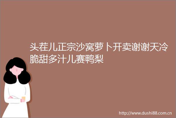 头茬儿正宗沙窝萝卜开卖谢谢天冷脆甜多汁儿赛鸭梨