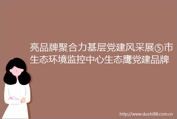 亮品牌聚合力基层党建风采展⑤市生态环境监控中心生态鹰党建品牌引领聚力护航高质量发展