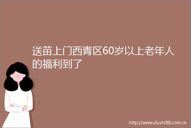 送苗上门西青区60岁以上老年人的福利到了
