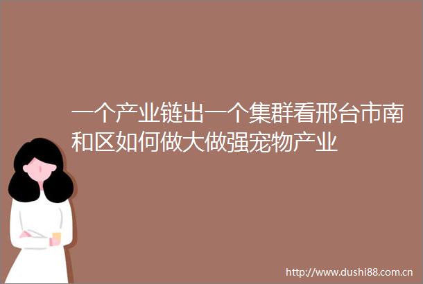 一个产业链出一个集群看邢台市南和区如何做大做强宠物产业