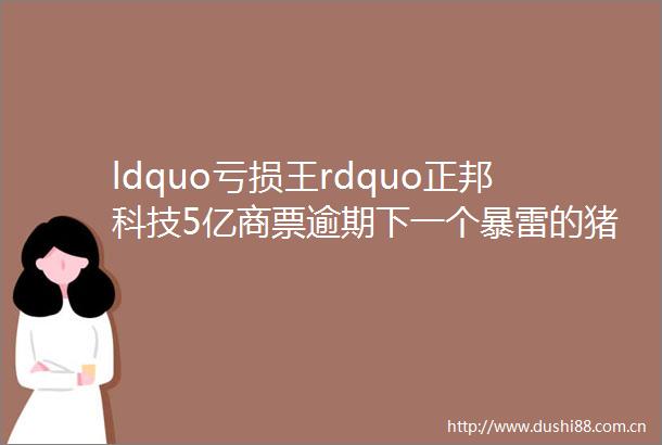 ldquo亏损王rdquo正邦科技5亿商票逾期下一个暴雷的猪企是哪家