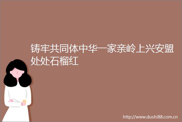 铸牢共同体中华一家亲岭上兴安盟处处石榴红