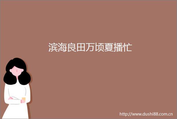 滨海良田万顷夏播忙