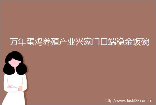 万年蛋鸡养殖产业兴家门口端稳金饭碗