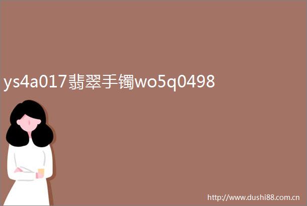 ys4a017翡翠手镯wo5q0498