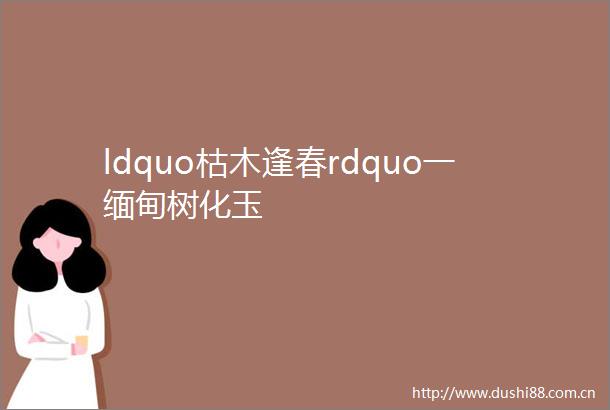 ldquo枯木逢春rdquo一缅甸树化玉