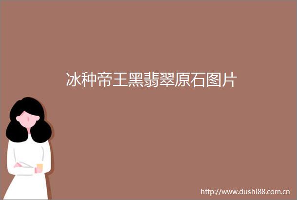 冰种帝王黑翡翠原石图片