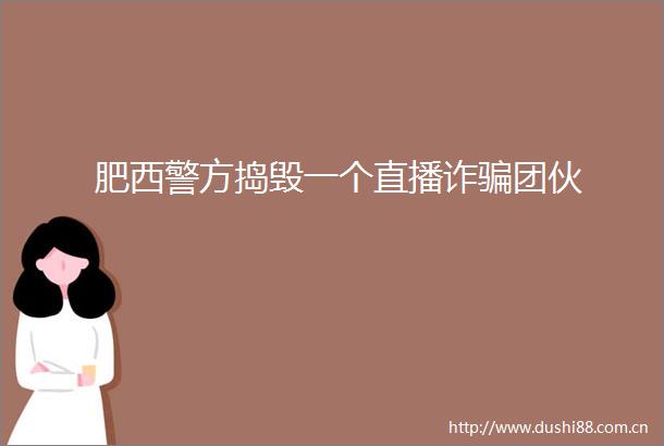 肥西警方捣毁一个直播诈团伙