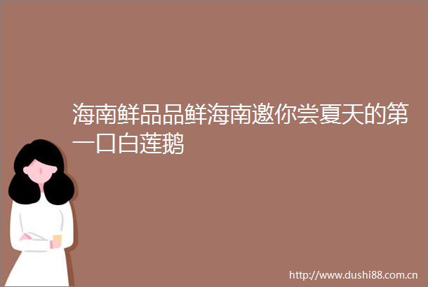 海南鲜品品鲜海南邀你尝夏天的第一口白莲鹅