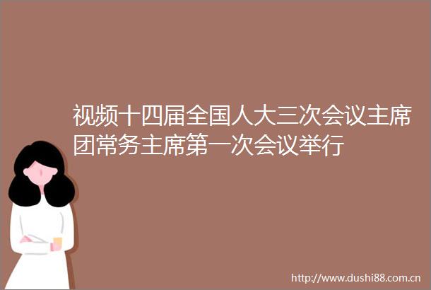 视频十四届全国人大三次会议团常务第一次会议举行