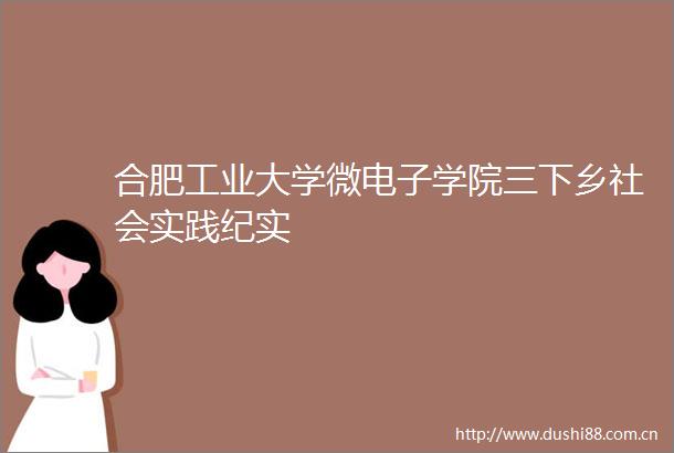 合肥工业大学微电子学院三下乡社会实践纪实