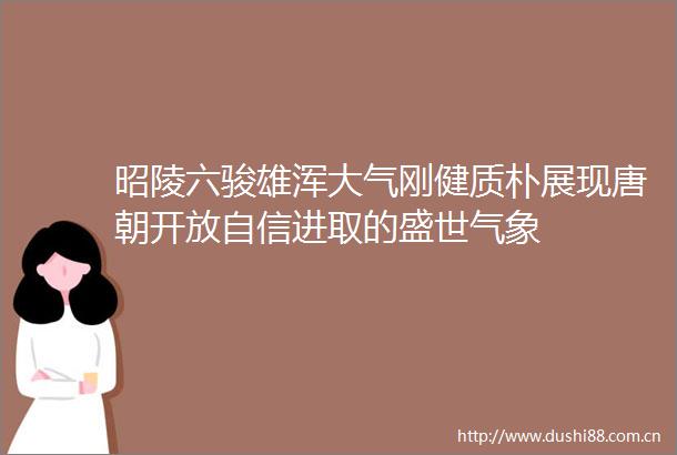 昭陵六骏雄浑大气刚健质朴展现唐朝开放自信进取的盛世气象