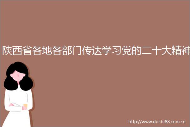 陕西省各地各部门传达学习党的二十大精神