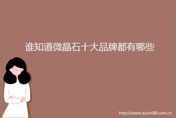谁知道微晶石十大品牌都有哪些
