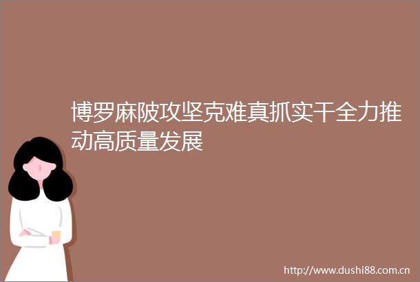 博罗麻陂攻坚克难真抓实干全力推动高质量发展