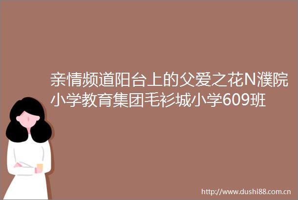 亲情频道阳台上的父爱之花N濮院小学教育集团毛衫城小学609班