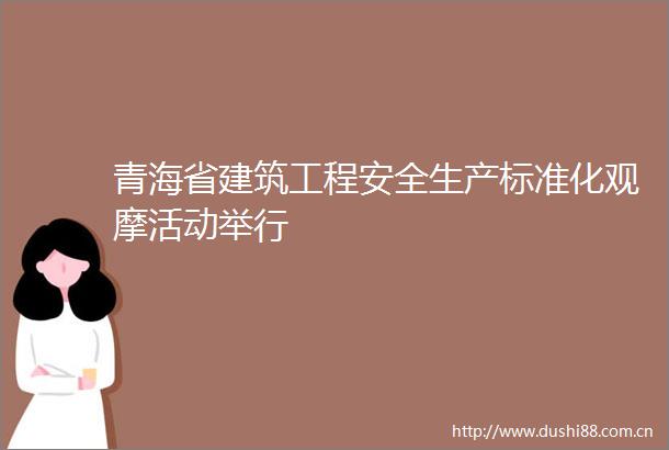青海省建筑工程安全生产标准化观摩活动举行