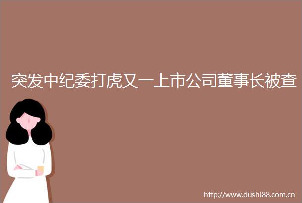 突发中纪委打虎又一上市公司董事长被查