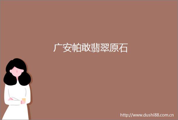 广安帕敢翡翠原石