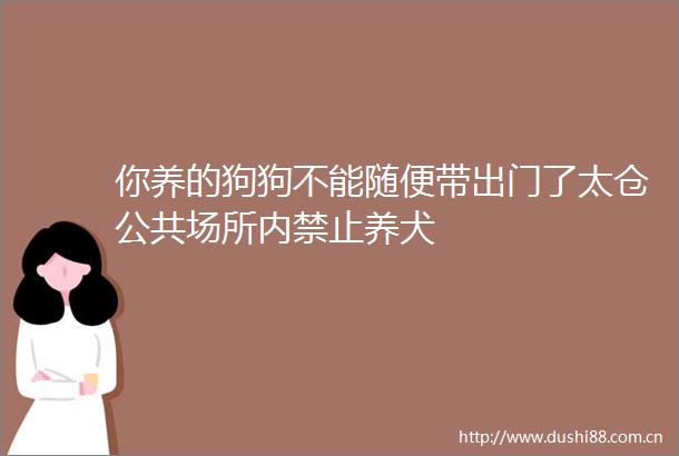 你养的狗狗不能随便带出门了太仓公共场所内禁止养犬