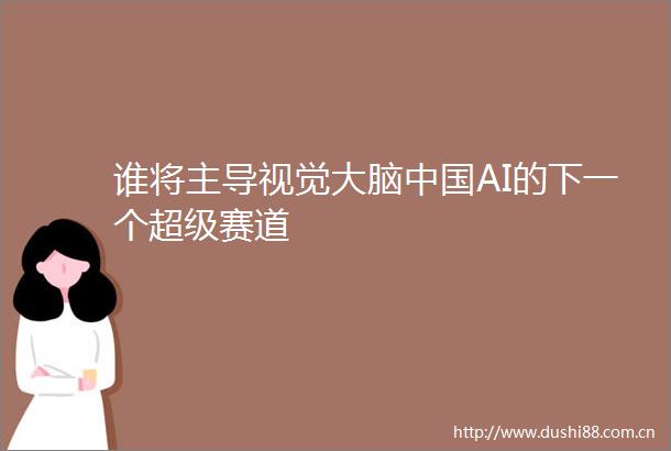 谁将主导视觉大脑AI的下一个超级赛道