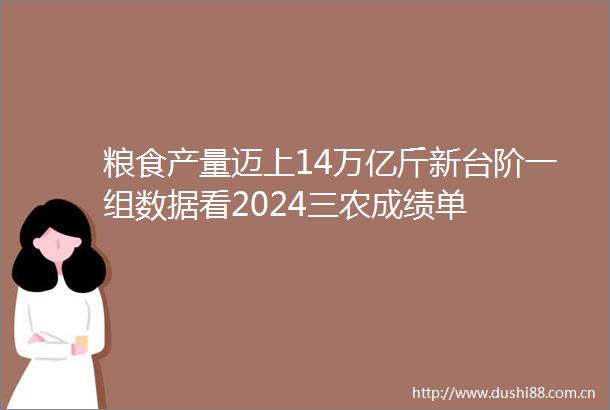 粮食产量迈上14万亿斤新台阶一组数据看2024三农成绩单