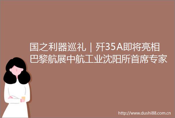 国之利器巡礼｜歼35A即将亮相巴黎航展中航工业沈阳所首席专家王永庆接受环球时报专访未来数量可以有很多