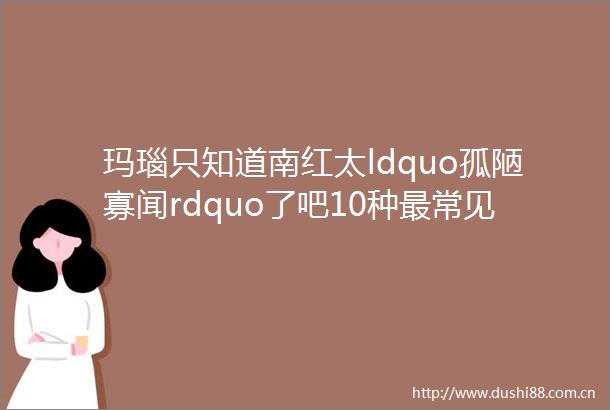 玛瑙只知道南红太ldquo孤陋寡闻rdquo了吧10种最常见的玛瑙认识不