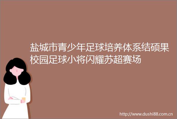 盐城市青少年足球培养体系结硕果校园足球小将闪耀苏超赛场
