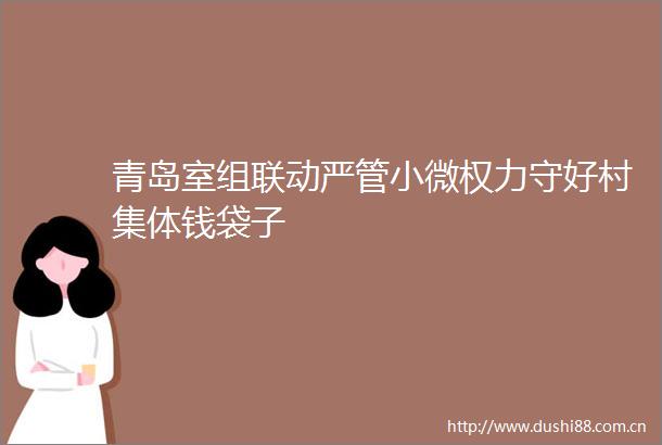 青岛室组联动严管小微守好村集体钱袋子